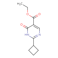 Chemical structure of ethyl 2-cyclobutyl-6-oxo-1,6-dihydropyrimidine-5-carboxylate - CSSB00012182367