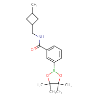 Chemical structure of N-[(3-methylcyclobutyl)methyl]-3-(4,4,5,5-tetramethyl-1,3,2-dioxaborolan-2-yl)benzamide - CSSB02195989483