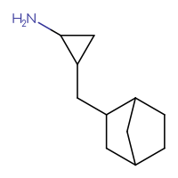 C11H19N