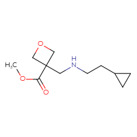 C11H19NO3