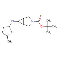 C16H28N2O2