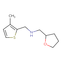 Chemical structure of [(3-methylthiophen-2-yl)methyl][(oxolan-2-yl)methyl]amine - CSSB00000186830