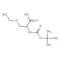 C10H19NO5