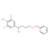 C17H19Cl2NO2