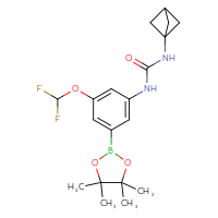 Chemical structure of 3-{bicyclo[1.1.1]pentan-1-yl}-1-[3-(difluoromethoxy)-5-(4,4,5,5-tetramethyl-1,3,2-dioxaborolan-2-yl)phenyl]urea - CSSB21332131458