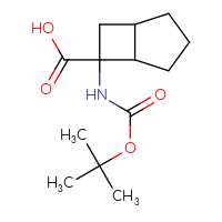 C13H21NO4