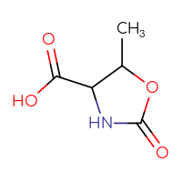 C5H7NO4