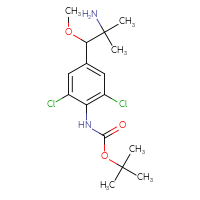 C16H24Cl2N2O3
