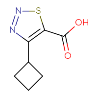 Chemical structure of 4-cyclobutyl-1,2,3-thiadiazole-5-carboxylic acid - CSSB00009924668