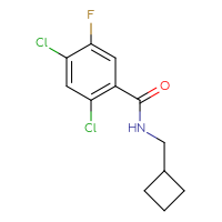 Chemical structure of 2,4-dichloro-N-(cyclobutylmethyl)-5-fluorobenzamide - CSSB00071595916