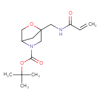 Chemical structure of tert-butyl 1-[(prop-2-enamido)methyl]-2-oxa-5-azabicyclo[2.2.1]heptane-5-carboxylate - CSSB00154433692
