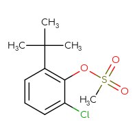 Chemical structure of 2-tert-butyl-6-chlorophenyl methanesulfonate - CSSB21432513698