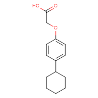 Chemical structure of 2-(4-cyclohexylphenoxy)acetic acid - CSSB00020600792