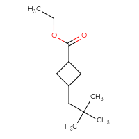 Chemical structure of ethyl 3-(2,2-dimethylpropyl)cyclobutane-1-carboxylate - CSSB14937642732