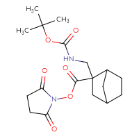 Chemical structure of 2,5-dioxopyrrolidin-1-yl 2-({[(tert-butoxy)carbonyl]amino}methyl)bicyclo[2.2.1]heptane-2-carboxylate - CSSB20270306553