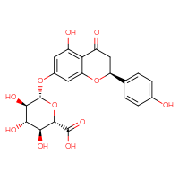 Chemical structure of (2S,3S,4S,5R,6S)-3,4,5-trihydroxy-6-{[(2S)-5-hydroxy-2-(4-hydroxyphenyl)-4-oxo-3,4-dihydro-2H-1-benzopyran-7-yl]oxy}oxane-2-carboxylic acid - CSSB00161152309