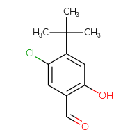 Chemical structure of 4-tert-butyl-5-chloro-2-hydroxybenzaldehyde - CSSB00010167074