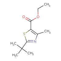 Chemical structure of ethyl 2-tert-butyl-4-methyl-1,3-thiazole-5-carboxylate - CSSB00011260504