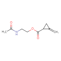 C9H13NO3