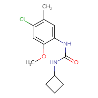 Chemical structure of 1-(4-chloro-2-methoxy-5-methylphenyl)-3-cyclobutylurea - CSSB00008133833