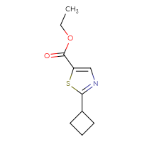 Chemical structure of ethyl 2-cyclobutyl-1,3-thiazole-5-carboxylate - CSSB00010075158