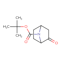 Chemical structure of tert-butyl 2-oxo-7-azabicyclo[2.2.1]heptane-7-carboxylate - CSSB00010009548