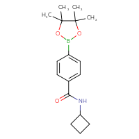 Chemical structure of N-cyclobutyl-4-(4,4,5,5-tetramethyl-1,3,2-dioxaborolan-2-yl)benzamide - CSSB00160567860
