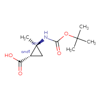 C10H17NO4