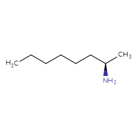 C8H19N
