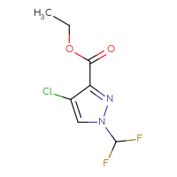 Chemical structure of ethyl 4-chloro-1-(difluoromethyl)-1H-pyrazole-3-carboxylate - CSSB00025724231