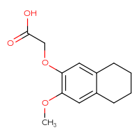 Chemical structure of 2-[(3-methoxy-5,6,7,8-tetrahydronaphthalen-2-yl)oxy]acetic acid - CSSB21432444881