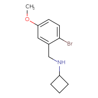 Chemical structure of N-[(2-bromo-5-methoxyphenyl)methyl]cyclobutanamine - CSSB00012259371