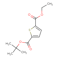 Chemical structure of 2-tert-butyl 5-ethyl thiophene-2,5-dicarboxylate - CSSB20962531048