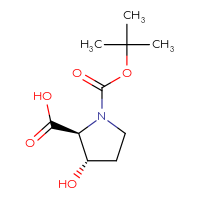 C10H17NO5