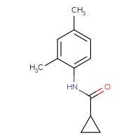Chemical structure of N-(2,4-dimethylphenyl)cyclopropanecarboxamide - CSSB00000153702