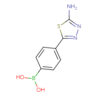 Chemical structure of [4-(5-amino-1,3,4-thiadiazol-2-yl)phenyl]boronic acid - CSSB00000049303