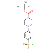 Chemical structure of tert-butyl 4-[4-(chlorosulfonyl)phenyl]piperazine-1-carboxylate - CSSB03560313968