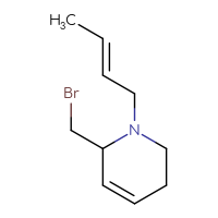 C10H16BrN