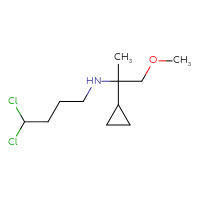 C11H21Cl2NO