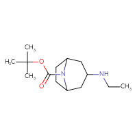 Chemical structure of tert-butyl 3-(ethylamino)-8-azabicyclo[3.2.1]octane-8-carboxylate - CSSB00011435310