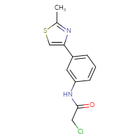 Chemical structure of 2-chloro-N-[3-(2-methyl-1,3-thiazol-4-yl)phenyl]acetamide - CSSB00000262515