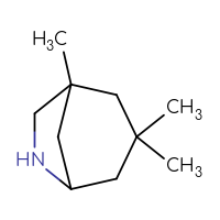 C10H19N
