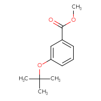 Chemical structure of methyl 3-(tert-butoxy)benzoate - CSSB00054665195
