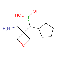 C10H20BNO3