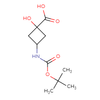 C10H17NO5