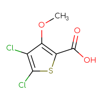 Chemical structure of 4,5-dichloro-3-methoxythiophene-2-carboxylic acid - CSSB00010885526