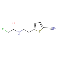 Chemical structure of 2-chloro-N-[2-(5-cyanothiophen-2-yl)ethyl]acetamide - CSSB21026046730