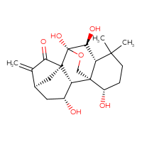 Chemical structure of (1S,2S,3R,5S,8S,9S,10S,11R,15S)-3,9,10,15-tetrahydroxy-12,12-dimethyl-6-methylidene-17-oxapentacyclo[7.6.2.1⁵,⁸.0¹,¹¹.0²,⁸]octadecan-7-one - CSSB00132312183