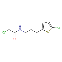 Chemical structure of 2-chloro-N-[3-(5-chlorothiophen-2-yl)propyl]acetamide - CSSB01531528915