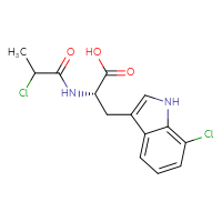 Chemical structure of (2S)-3-(7-chloro-1H-indol-3-yl)-2-(2-chloropropanamido)propanoic acid - CSSB21531609030